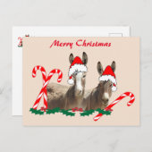 Carte postale de Noël, faune, ânes, carte postale (Devant / Derrière)