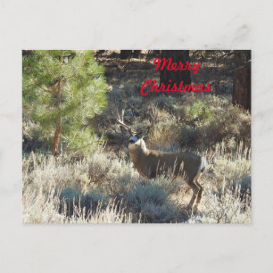 Carte postale de Noël, faune, sac, chasseur