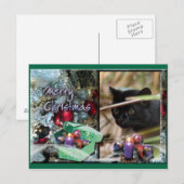 Carte postale de Noël Geoffroy Cat (Devant / Derrière)