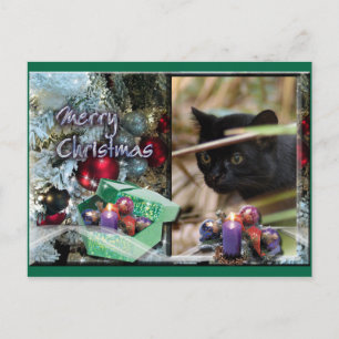 Carte postale de Noël Geoffroy Cat