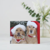 Carte postale de Noël Golden Retrivers (Debout devant)