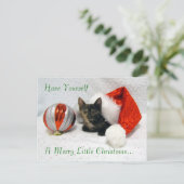 Carte postale de Noël Holley - Chat / Kitten (Debout devant)