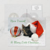 Carte postale de Noël Holley - Chat / Kitten (Devant / Derrière)