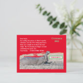 CARTE POSTALE DE NOËL MIEUX QUE JE VEUX POUR NOËL (Debout devant)