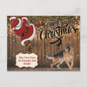 Carte postale de Noël Père Noël berger allemand (Devant)