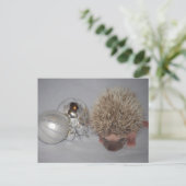 Carte postale de Noël pour bébé Hérisson (Debout devant)