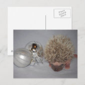 Carte postale de Noël pour bébé Hérisson (Devant / Derrière)