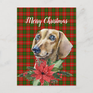 Carte postale de Noël pour chien Dachshund Aquarel
