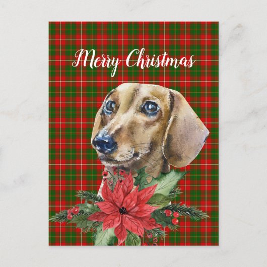 Carte postale de Noël pour chien Dachshund Aquarel (Devant)