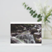 Carte postale de Noël sans glyphosate dans le Tenn (Debout devant)