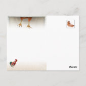 Carte postale de Noël - Vieux Saint Chick (Dos)