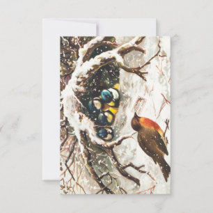 Carte postale de Noël vintage représentant des ois