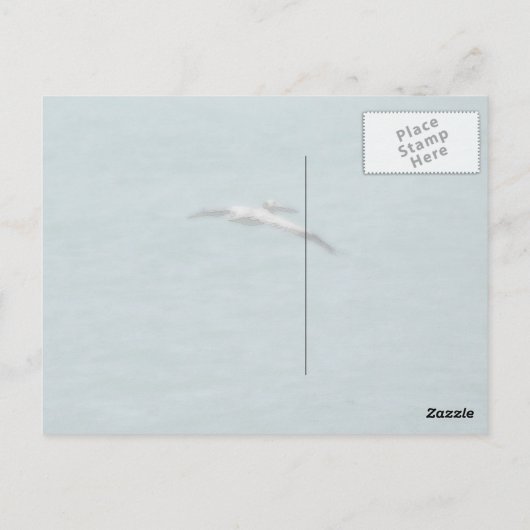 Carte postale de noeud de marin (Dos)