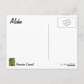 Carte postale de noix de coco verte hawaïenne (Dos)