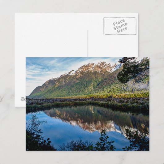 Carte postale de Nouvelle-Zélande (Devant / Derrière)