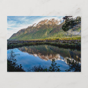 Carte postale de Nouvelle-Zélande