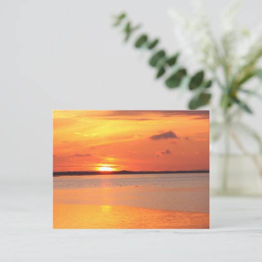 Carte postale de nuit (Debout devant)