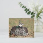 Carte postale de nuit Peacock pour femme (Debout devant)