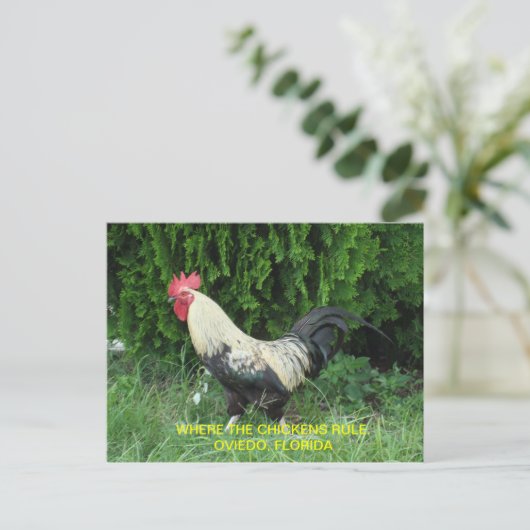 Carte postale de Oviedo (Debout devant)