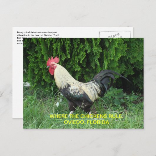 Carte postale de Oviedo (Devant / Derrière)