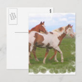 Carte postale de paire de chevaux (Devant / Derrière)