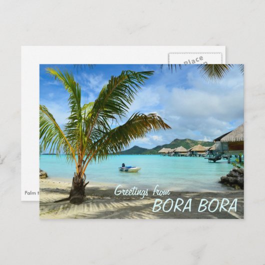 Carte postale de Palm tree and overwater resort (Devant / Derrière)