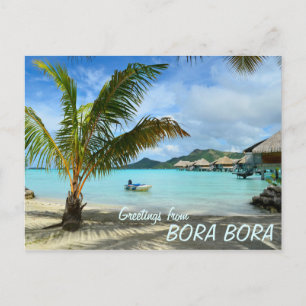 Carte postale de Palm tree and overwater resort