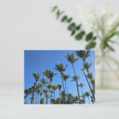 Carte postale de palmier (Debout devant)