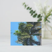 Carte postale de palmier (Debout devant)