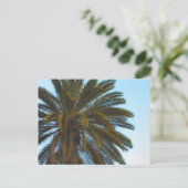 carte postale de palmier (Debout devant)