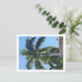 Carte postale de palmier (Debout devant)