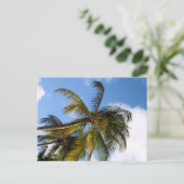 Carte postale de palmier (Debout devant)