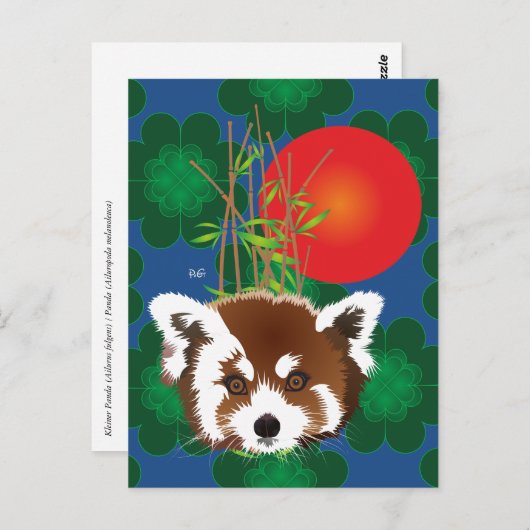 Carte postale de Panda (Devant / Derrière)