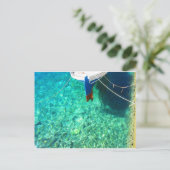 Carte postale de Panormos sur l'île de Tinos, Grèc (Debout devant)