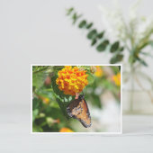 Carte postale de papillon de monarque (Debout devant)
