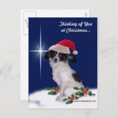 Carte postale de Papillon de vacances (Devant / Derrière)