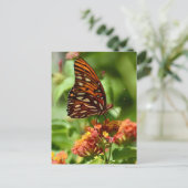 Carte postale de papillon Gulf Fritillary (Debout devant)