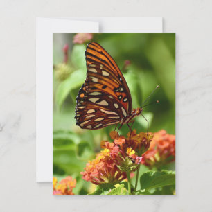 Carte postale de papillon Gulf Fritillary