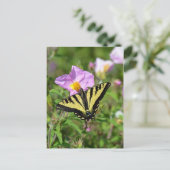 Carte postale de papillon noir et jaune (Debout devant)