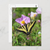 Carte postale de papillon noir et jaune (Devant / Derrière)