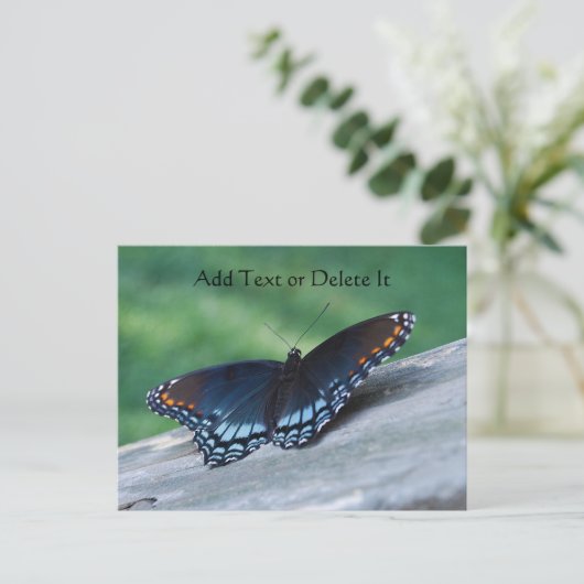 Carte postale de papillon pourpre à points rouges (Debout devant)