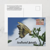 Carte postale de papillon Swallowtail (Devant / Derrière)