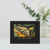 Carte postale de papillon Swallowtail (Debout devant)