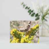 Carte postale de papillon vulcain commun (Debout devant)