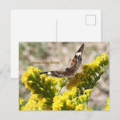 Carte postale de papillon vulcain commun (Devant / Derrière)