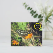 Carte postale de papillon Zebra (Debout devant)