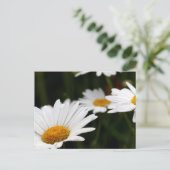 Carte postale de pâquerette (Debout devant)