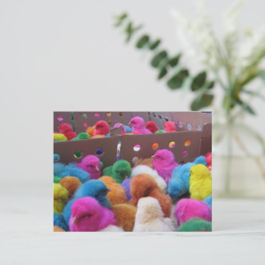 Carte postale de Pâques (Debout devant)