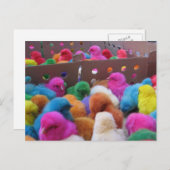 Carte postale de Pâques (Devant / Derrière)