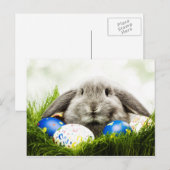 Carte postale de Pâques (Devant / Derrière)